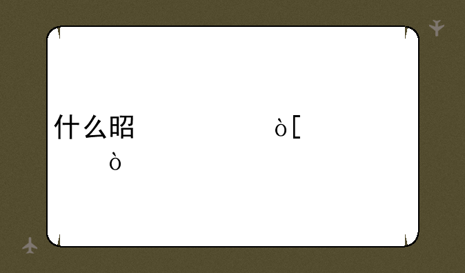 什么是考编大学？