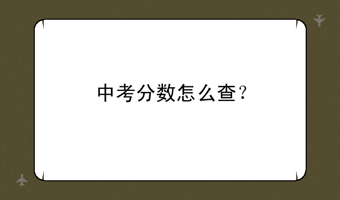 中考分数怎么查？