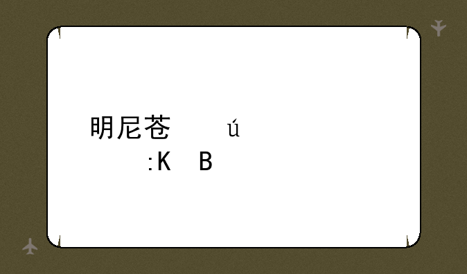 明尼苏达大学排名