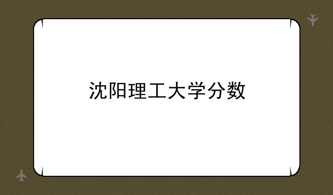 沈阳理工大学分数