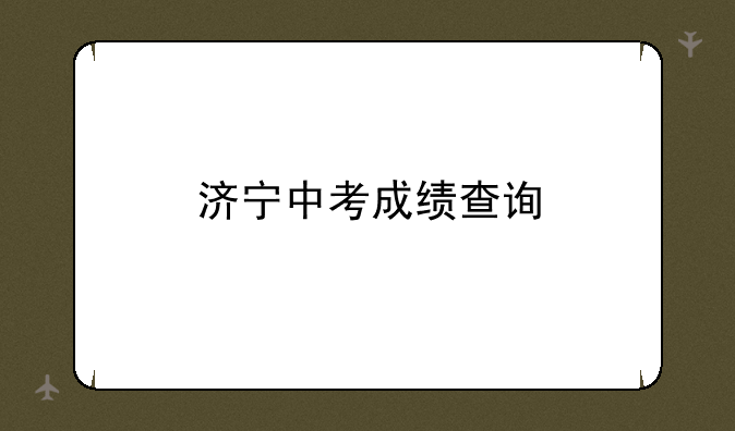 济宁中考成绩查询