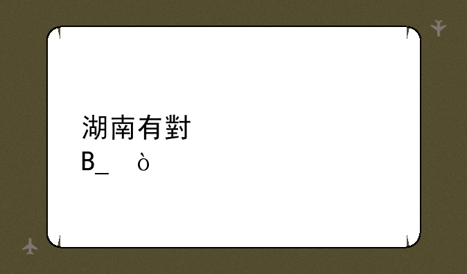 湖南有小自考吗？