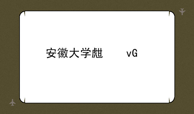 安徽大学生村官
