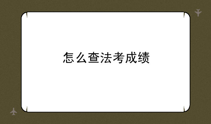 怎么查法考成绩