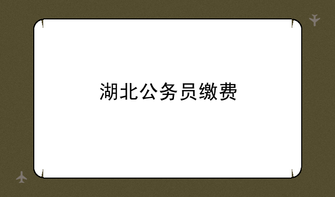 湖北公务员缴费