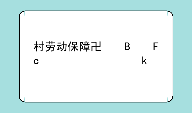 村劳动保障协理员年工资多少