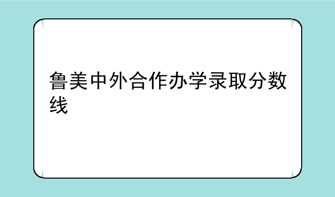 鲁美中外合作办学录取分数线