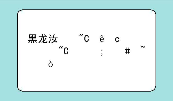 黑龙江成人高考成绩怎么查？