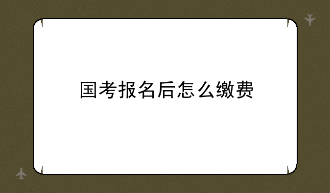 国考报名后怎么缴费