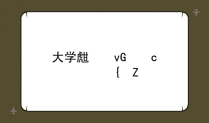 大学生村官那年实施