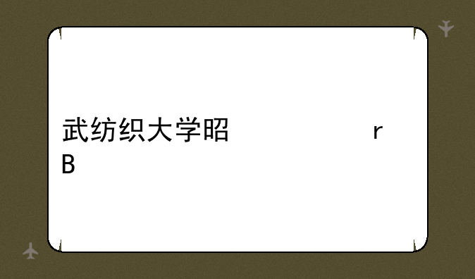 武纺织大学是一本吗