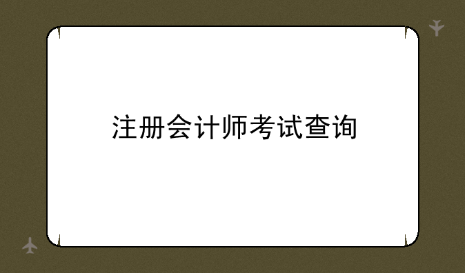 注册会计师考试查询