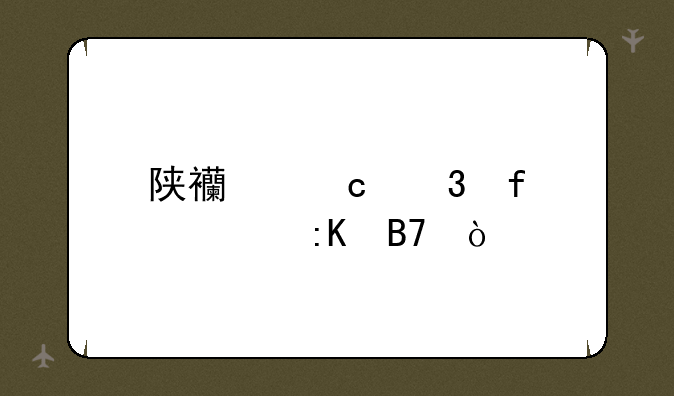 陕西高职院校排名？