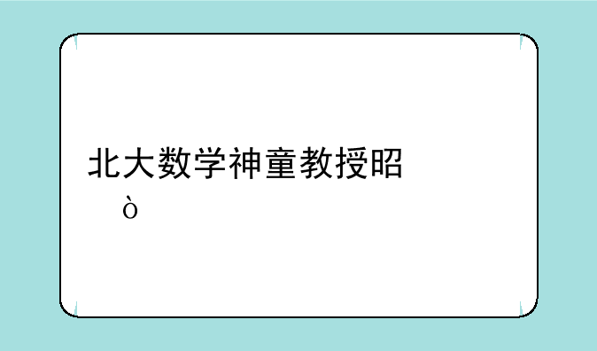 北大数学神童教授是谁？