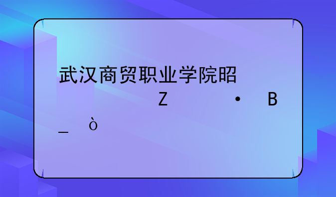 武汉商贸职业学院是大学文凭吗？