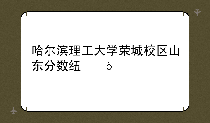 哈尔滨理工大学荣城校区山东分数线？