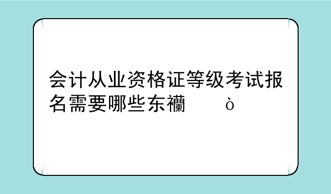 湖北省财政厅2010年上半年会计从业资