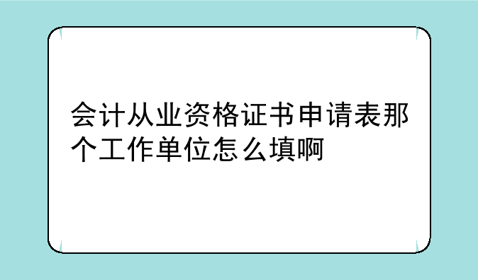 会计从业资格证书申请表，在哪里填表？，会计从业资格证书申