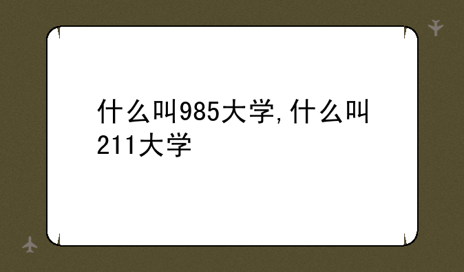 什么叫985大学,什么叫211大学