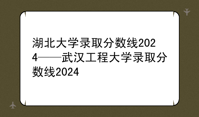 湖北大学录取分数线2024——武汉工程
