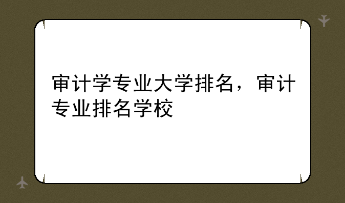 审计学专业大学排名，审计专业排名学校
