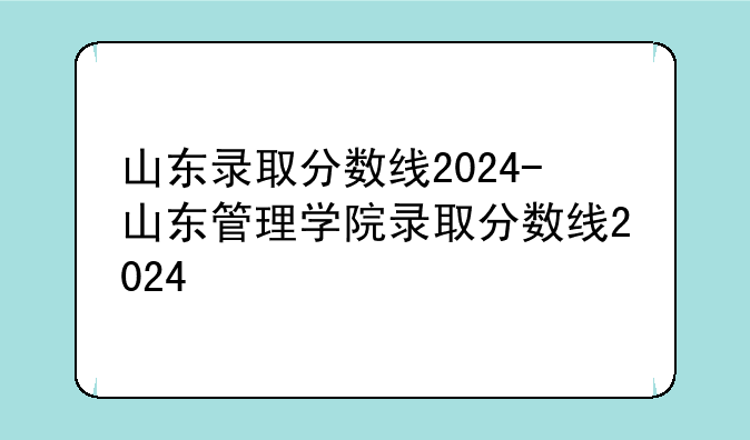 山东录取分数线2024-山东管理学院录取分数线2024