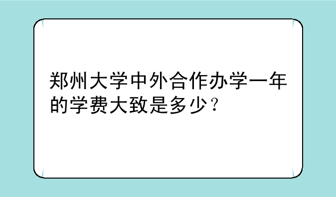 郑州大学中外合作办学一年的学费大致是多少？