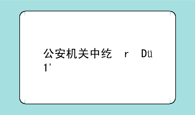 公安机关中级执法资格考试—公安执法高级考试
